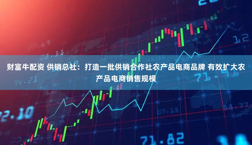财富牛配资 供销总社：打造一批供销合作社农产品电商品牌 有效扩大农产品电商销售规模