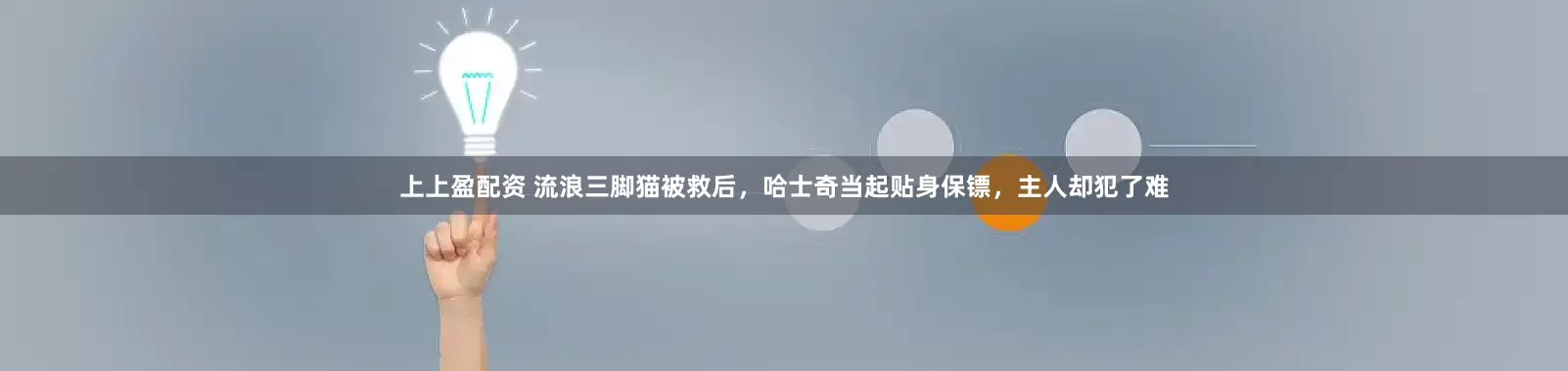 上上盈配资 流浪三脚猫被救后，哈士奇当起贴身保镖，主人却犯了难