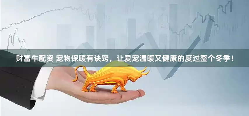 财富牛配资 宠物保暖有诀窍，让爱宠温暖又健康的度过整个冬季！