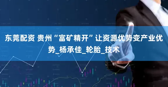 东莞配资 贵州“富矿精开”让资源优势变产业优势_杨承佳_轮胎_技术