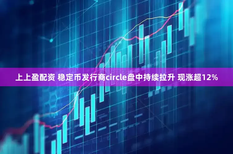 上上盈配资 稳定币发行商circle盘中持续拉升 现涨超12%